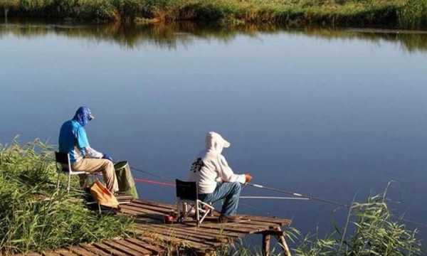 夏天钓鱼中午怎么样？夏天钓鱼中午怎么样好钓？-图3