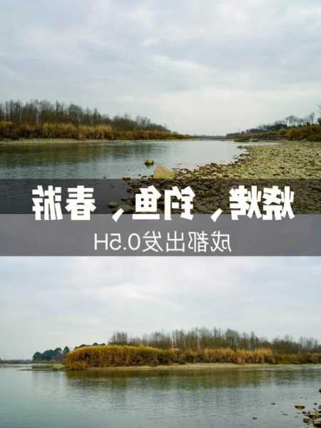 白湖钓鱼怎么样，白湖村露营！-图3