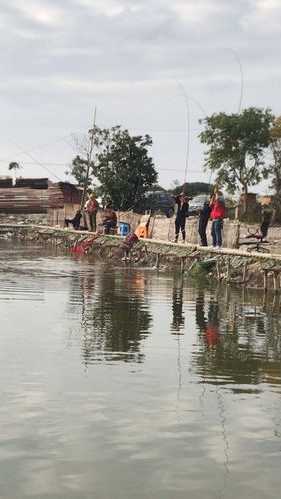 去浦东钓鱼怎么样，浦东钓鱼的地方 野钓？-图2