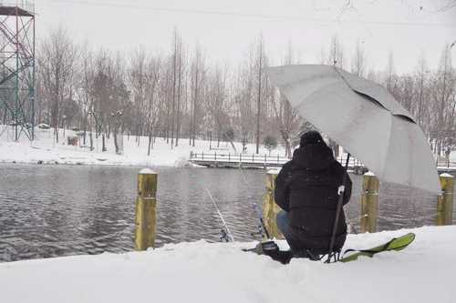 新疆入冬钓鱼怎么样？新疆冬天好不好玩？-图2