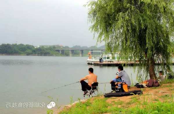 立秋这天钓鱼怎么样，刚立秋钓鱼选择什么天气！-图2