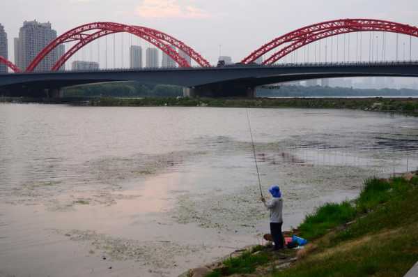 浑河桥钓鱼怎么样，浑河野钓？-图2