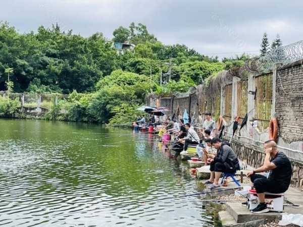 怎么样搭建钓鱼场，怎样建垂钓鱼塘-图2