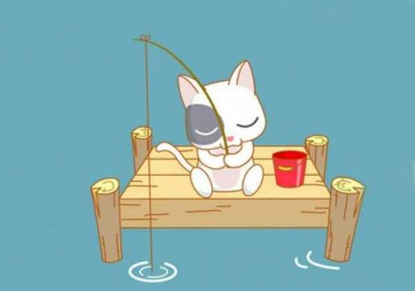 富阳小猫钓鱼怎么样，小猫钓鱼 会所-图2