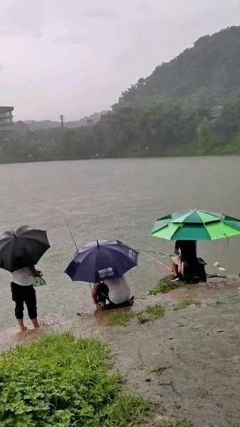 夏天打雷怎么样钓鱼，夏天打雷要注意什么？-图1