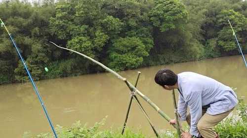 竹子河钓鱼怎么样，竹子钓鱼竿钓鱼视频-图1