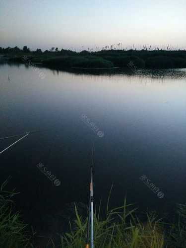 滹沱河夜晚钓鱼怎么样，滹沱河夜晚钓鱼怎么样好钓吗！-图3