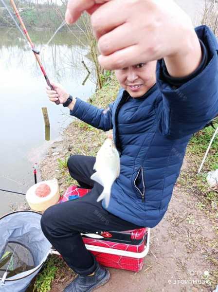 节气立春钓鱼怎么样，立春时节钓鱼！-图1