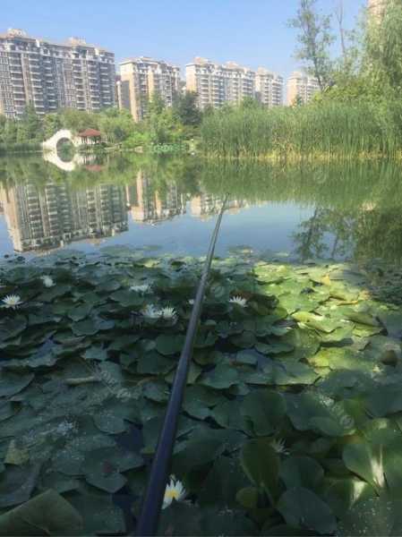 水晶湖钓鱼怎么样，水晶湖贴吧！-图1