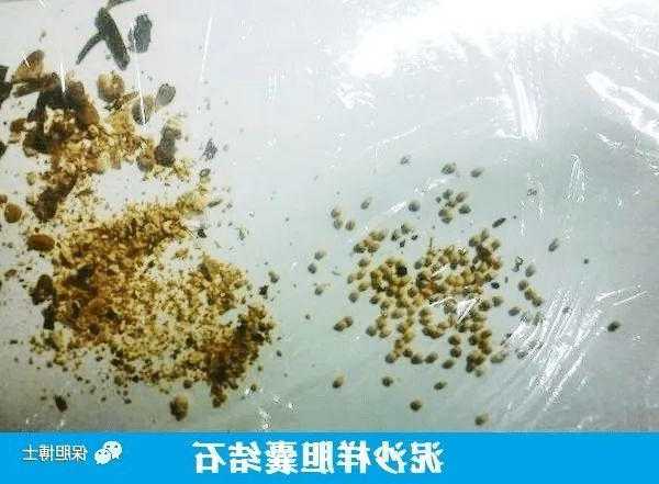 泥沙乱石钓鱼怎么样？泥沙石是什么？-图2