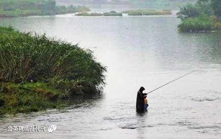 小雨中钓鱼怎么样？小雨钓鱼钓深还是钓浅？-图2