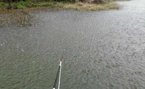 小雨中钓鱼怎么样？小雨钓鱼钓深还是钓浅？-图1