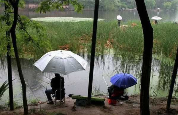 下雨怎么样钓鱼好，下着雨怎么钓鱼-图2