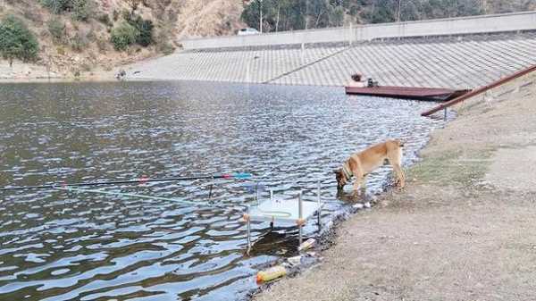 同城钓鱼俱乐部怎么样，同城水库？-图1