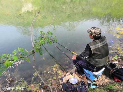 清明后钓鱼怎么样，清明后钓鱼钓深还是钓浅？-图2