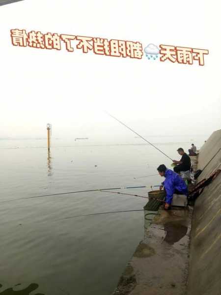 台湾下雨钓鱼怎么样，今天台湾终于下雨了-图1