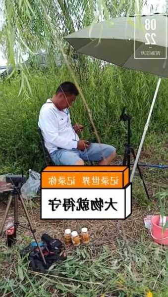 辉哥钓鱼怎么样，辉哥钓鱼怎么样好用吗！-图3