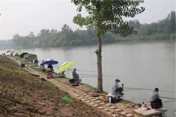 太白湖钓鱼怎么样，太白湖水库？-图1