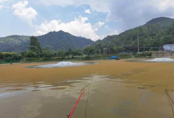 朝阳钓鱼收入怎么样？朝阳附近野钓钓鱼的地方？-图2