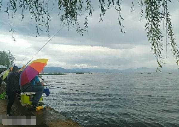秋季雨前钓鱼怎么样，秋季雨前钓鱼好还是雨后钓鱼好？-图1