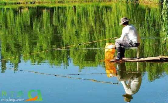 夏天小沟钓鱼怎么样？夏天小沟钓鱼怎么样好钓吗？-图1