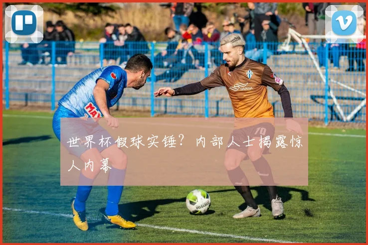 世界杯假球实锤？内部人士揭露惊人内幕
