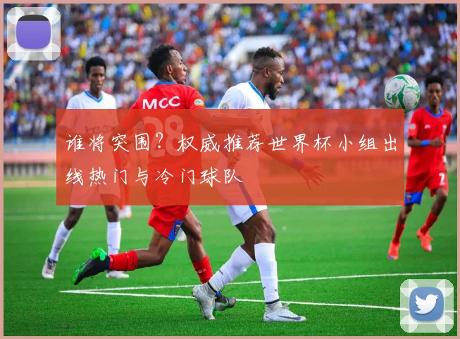 谁将突围？权威推荐世界杯小组出线热门与冷门球队