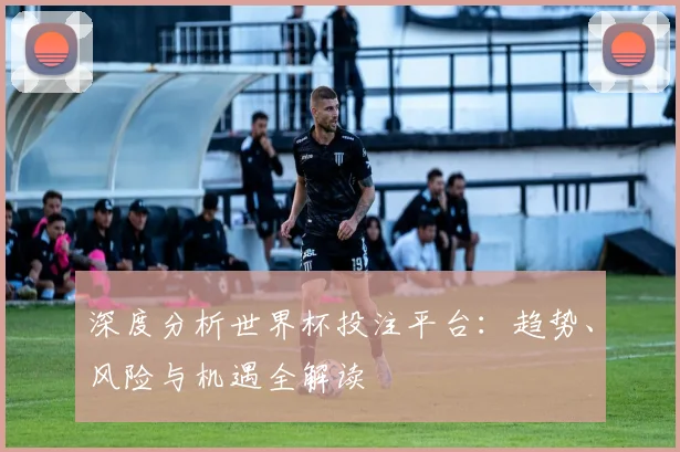 深度分析世界杯投注平台：趋势、风险与机遇全解读