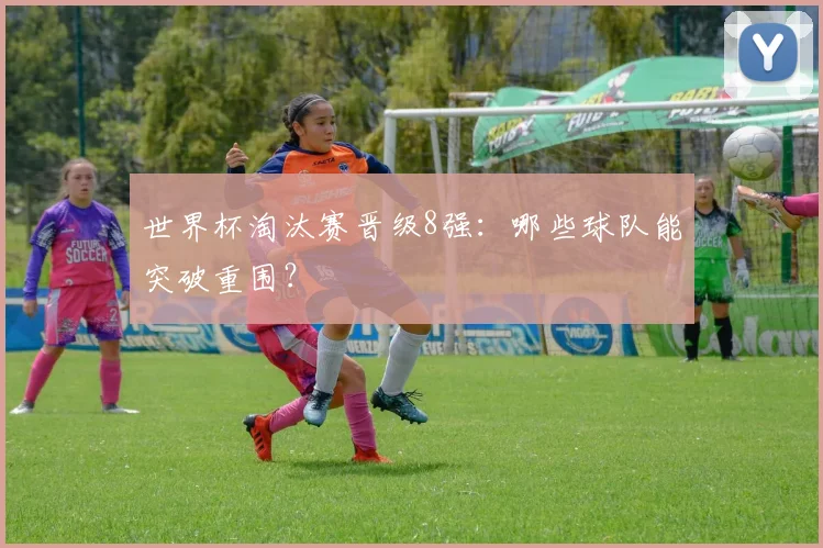 世界杯淘汰赛晋级8强：哪些球队能突破重围？