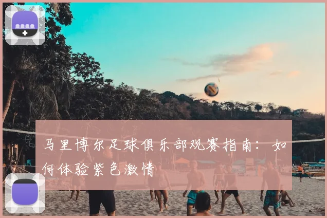 马里博尔足球俱乐部观赛指南：如何体验紫色激情