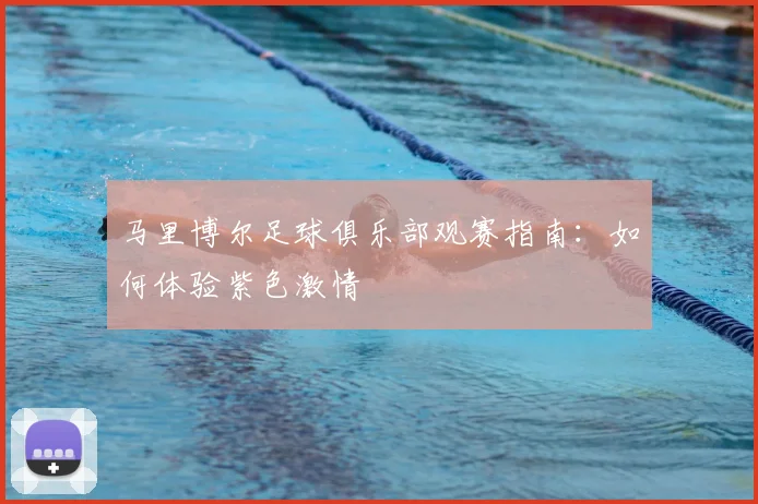 马里博尔足球俱乐部观赛指南：如何体验紫色激情