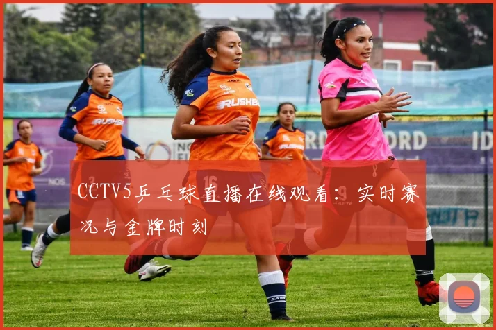 CCTV5乒乓球直播在线观看：实时赛况与金牌时刻